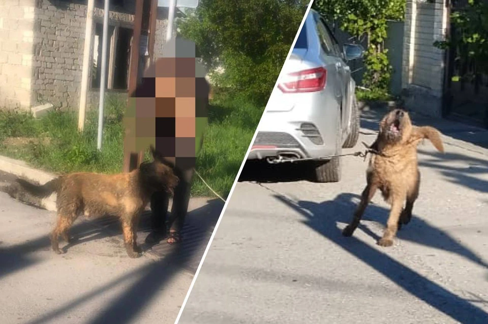 Полиция уже начала разбираться в произошедшем. Фото: предоставлено «КП»