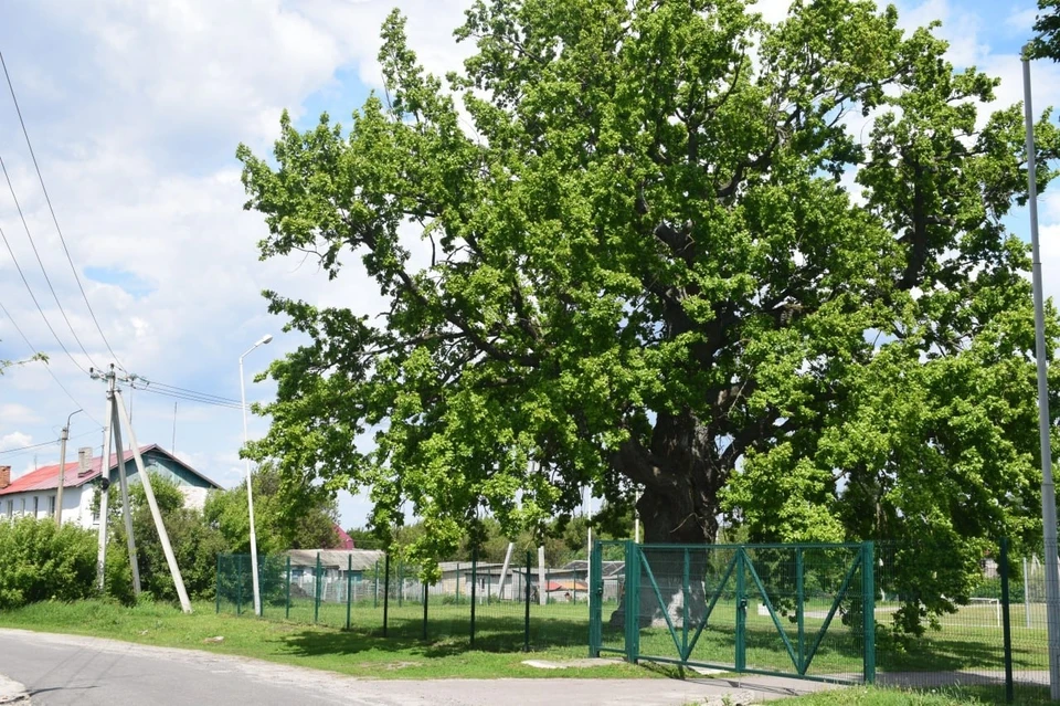 Фото правительства Белгородской области