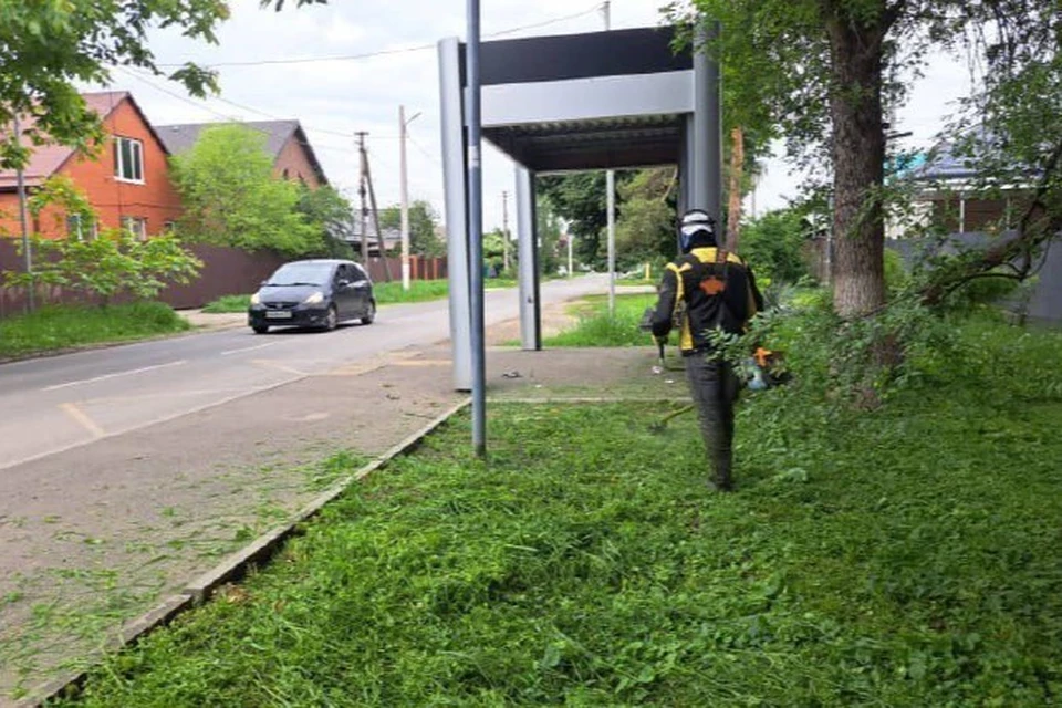 В Краснодаре выкосили более 3 тысяч га сорной травы Фото: пресс-служба городской администрации