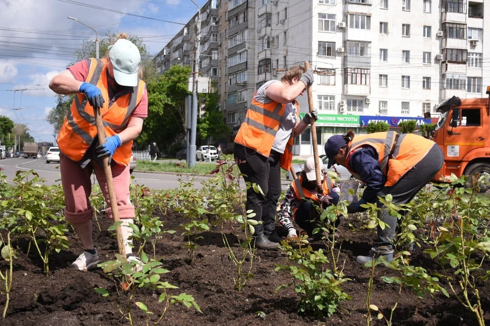 Цветы появились на кольцевой развязке улиц Ленинской и Маршала Жукова. Работы будут продолжаться.