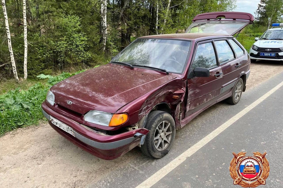 В ДТП пострадала женщина. Фото: Госавтоинспекция Тверской области