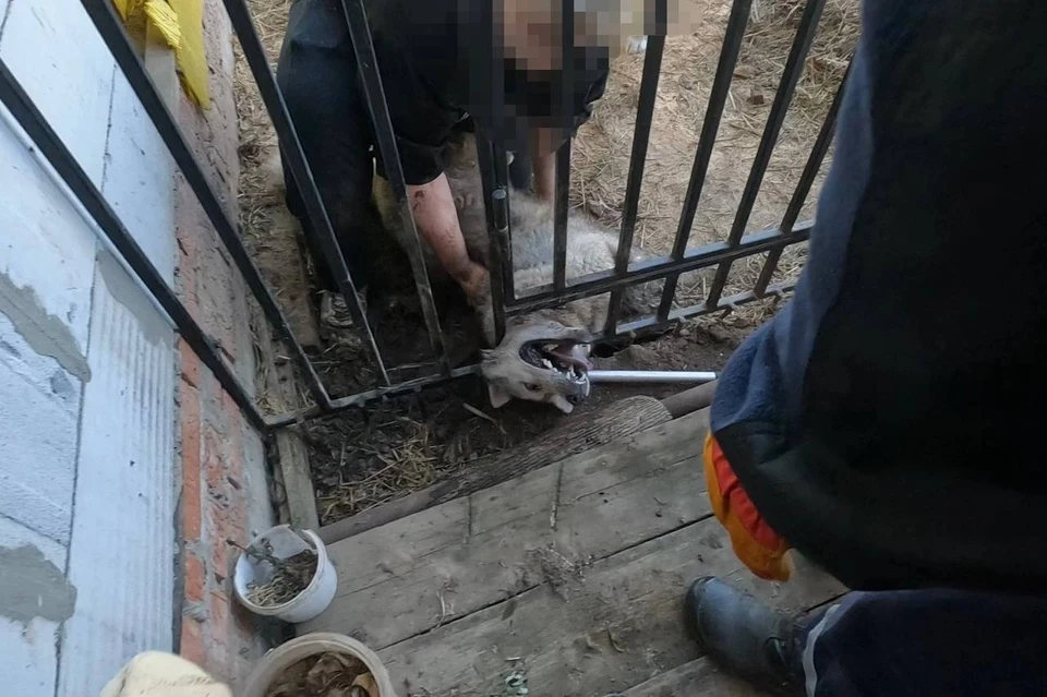 Фото: поисково-спасательная служба Кунгурского округа