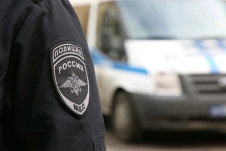 В Мытищах полиция выясняет обстоятельства гибели собаки, выпавшей с 15 этажа