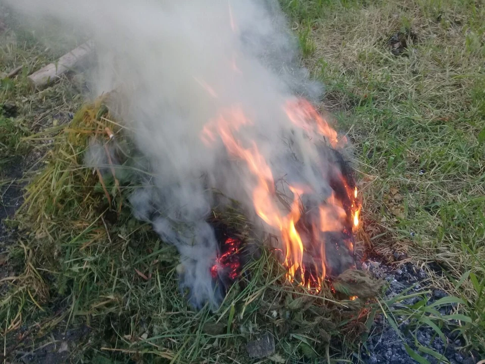 В селе Архангельское Старооскольского округа горела трава.