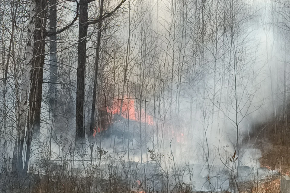 В Бурятии лесной пожар подобрался к селу, эвакуировали 91 человека.