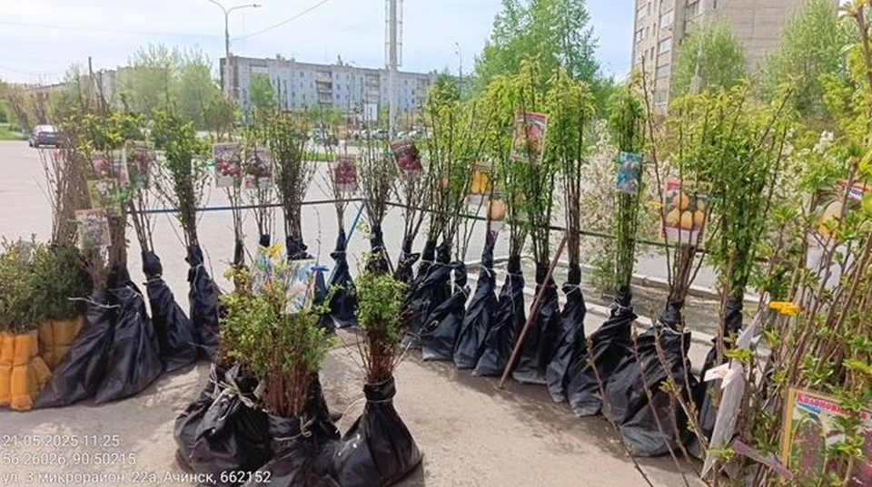 Фото: Управление Россельхознадзора по Красноярскому краю