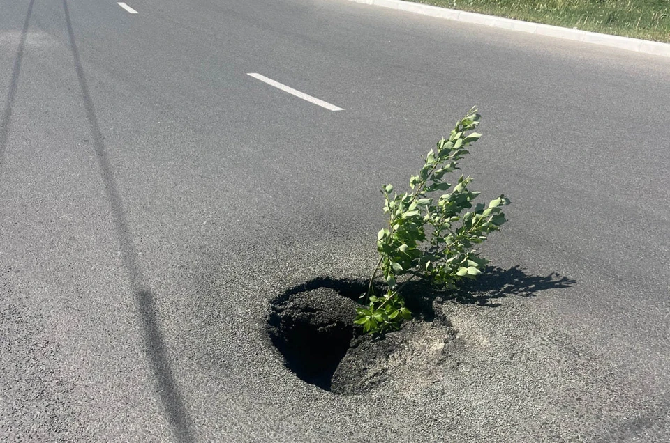«Ремонт по-калужски — положить асфальт и ждать, когда он сам провалится.»