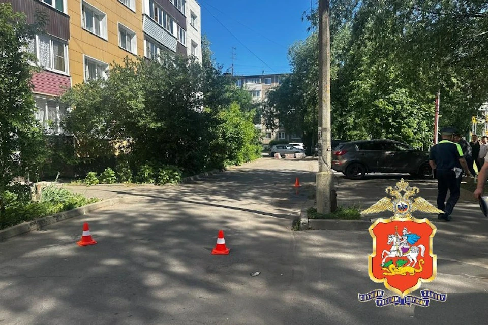 Фото: ГУ МВД России по Московской области
