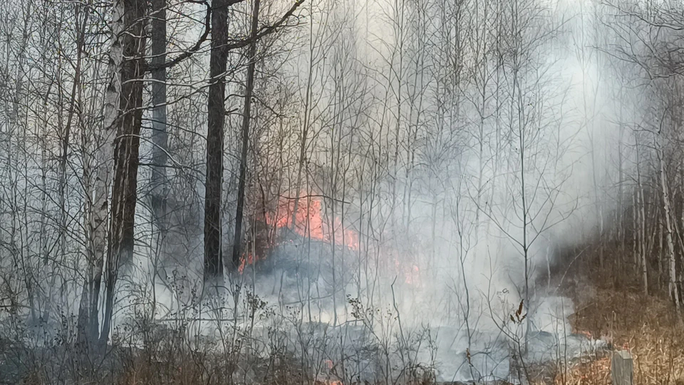 Выявлять пожары в Ульяновской области помогают 19 квадракоптеров. Фото архив КП