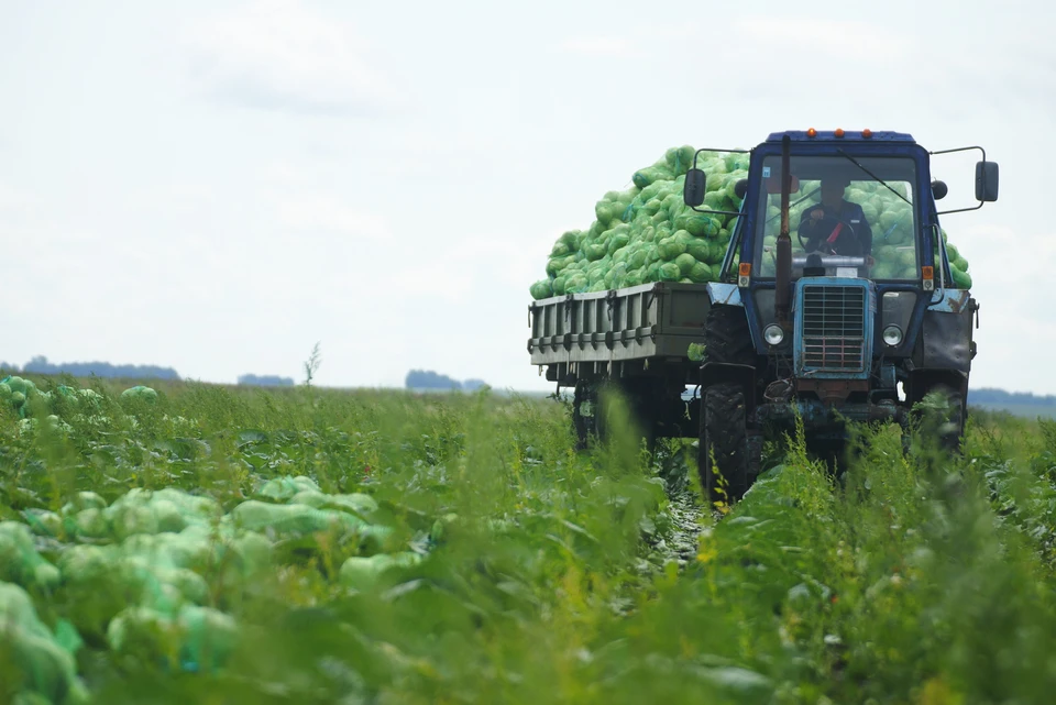 Важно обеспечить путь продукции от фермеров к потребителям.