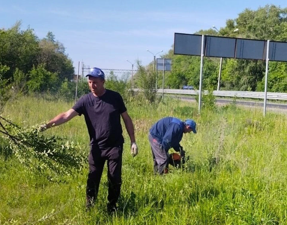 В ульяновском посёлке Белый ключ скосили траву и подрезали деревья у стелы. ФОТО: тг-канал Центра по благоустройству и озеленению Ульяновска