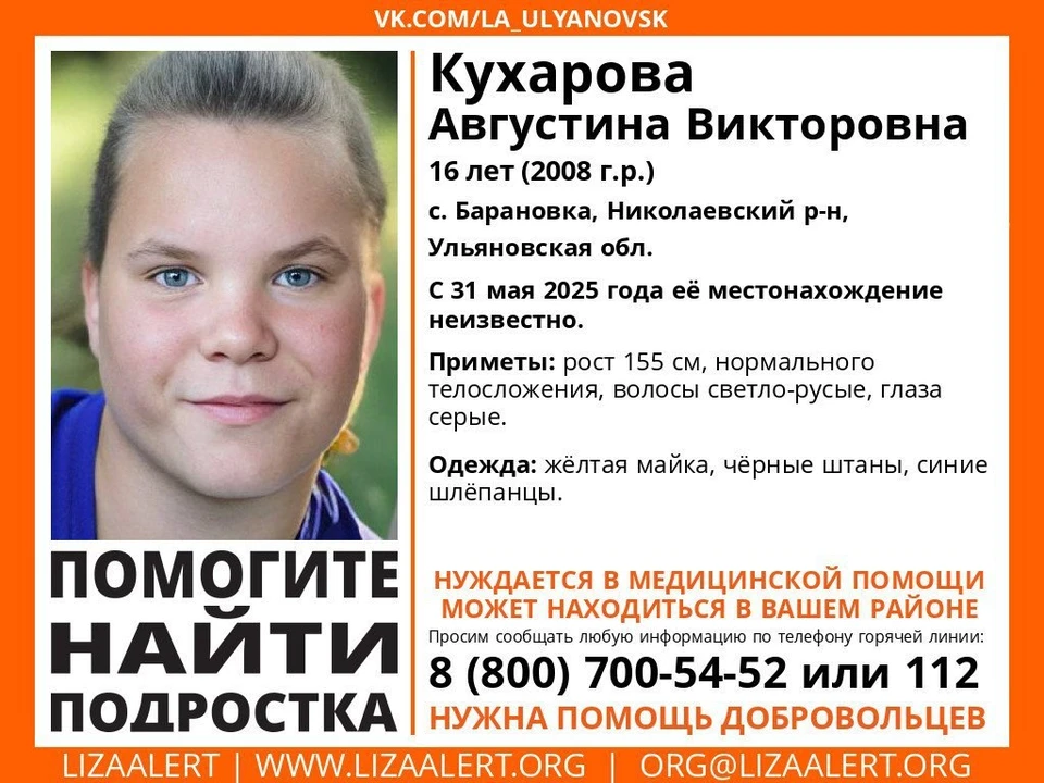 Фото: ЛизаАлерт