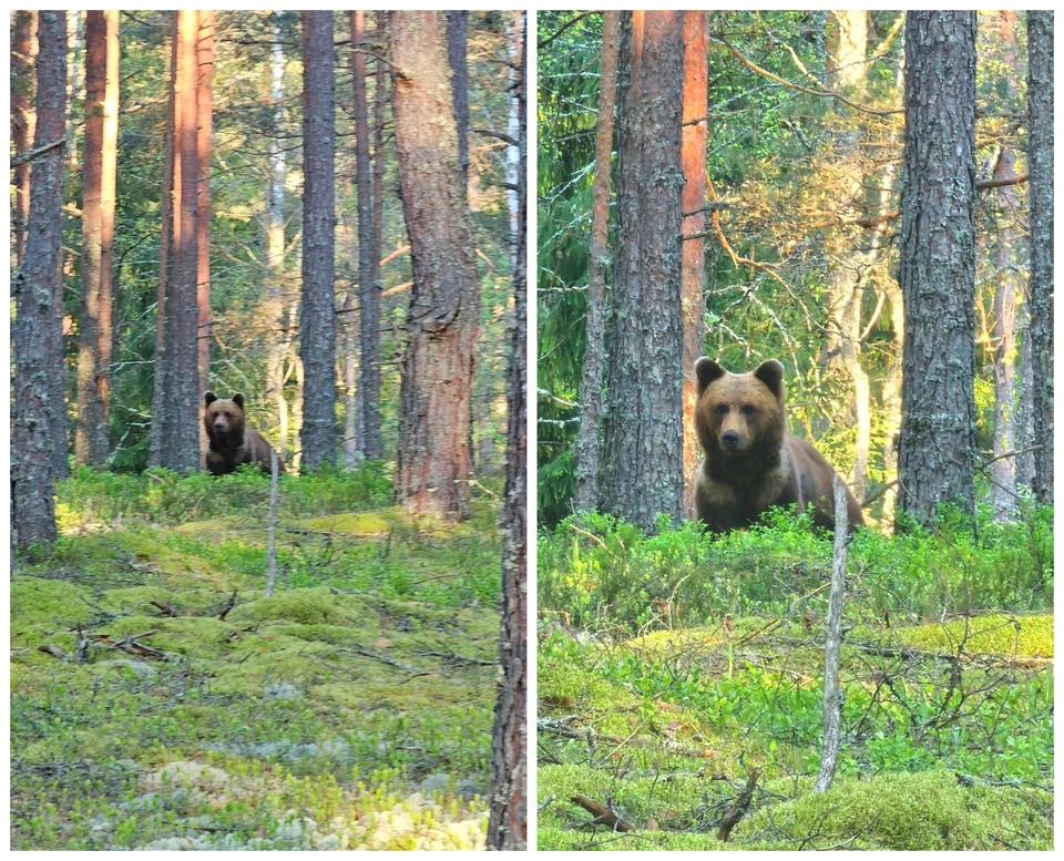 Фото: Анна Пшеницына.