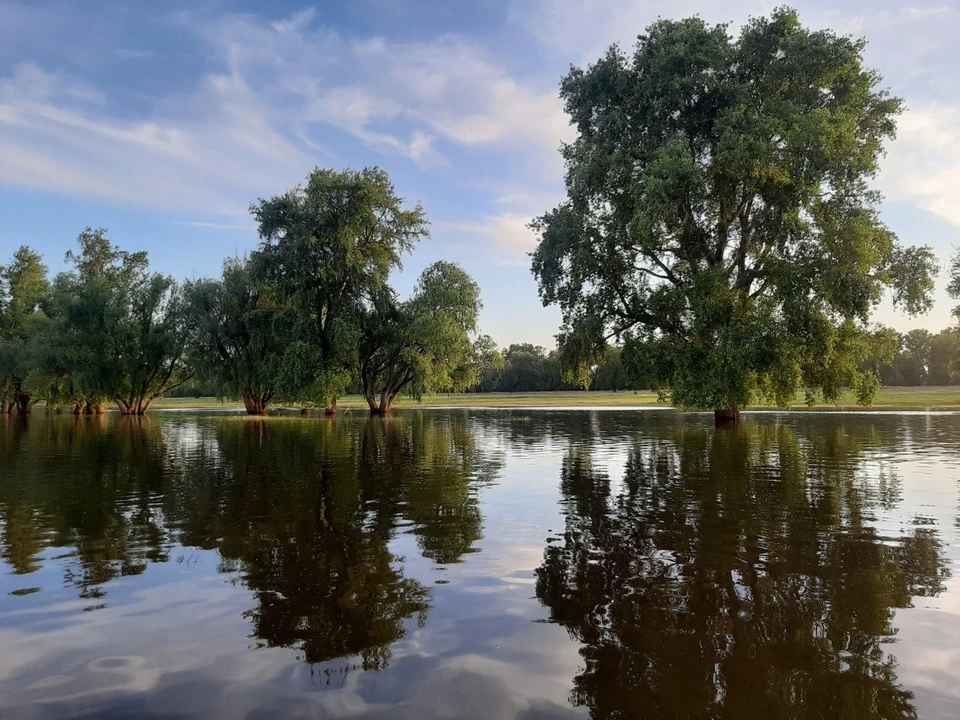 Пойме добавят воды.