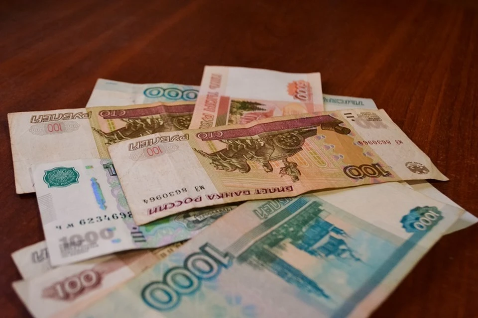 Жительницу Чечни уличили в мошенничестве на 30 млн рублей