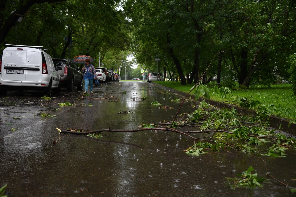 В Усть-Куломском и Прилузском районах устраняют последствия урагана.