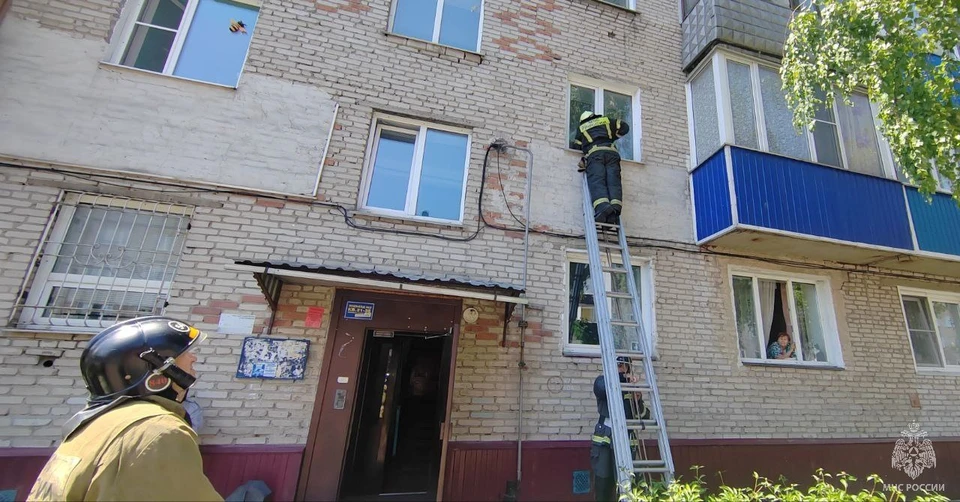 В ведомстве призвали не оставлять пожилых родственников без присмотра