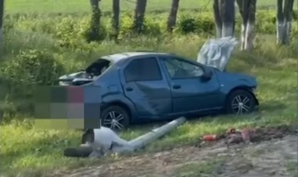 Фото: пресс-служба Госавтоинспекции по Белгородской области.