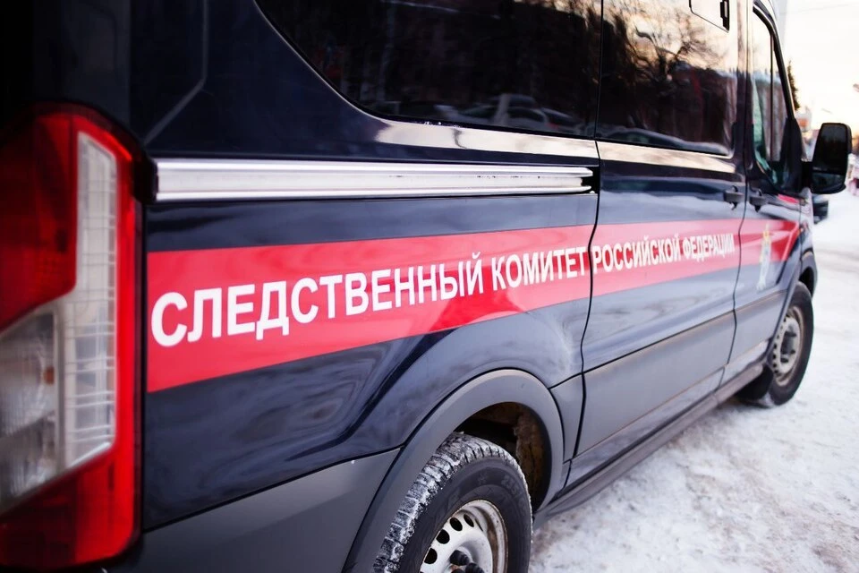 Сообщается, что все могло произойти в библиотеке из-за ссоры двух одноклассников. Фото: СК Тверской области.