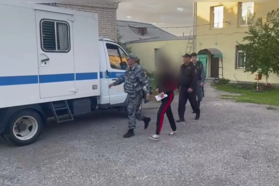 Светлану отправили в СИЗО на два месяца. Кадр с видео пресс-службы Следственного комитета Челябинской области.