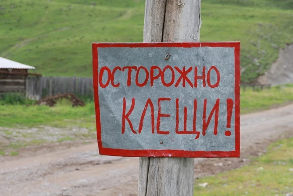 Фото: архив КП.