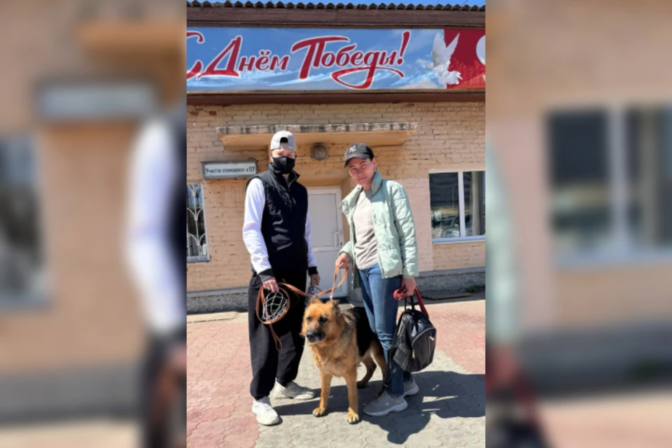 Овчарку, которая все утро каталась в трамвае в Бурятии, забрали кинологи. Фото: МУП «Управление трамвая».