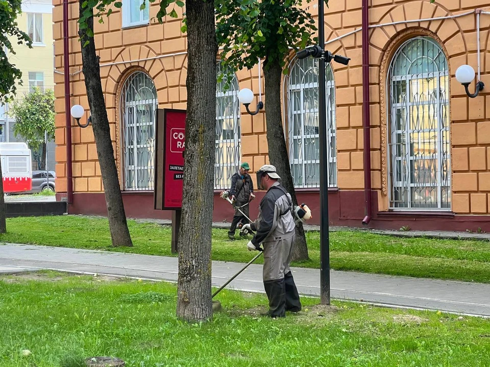 Фото: Александр Новиков