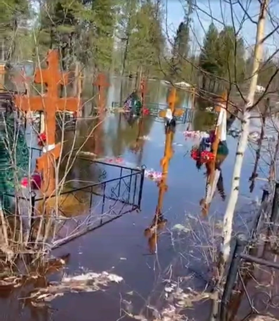 Скриншот из видео