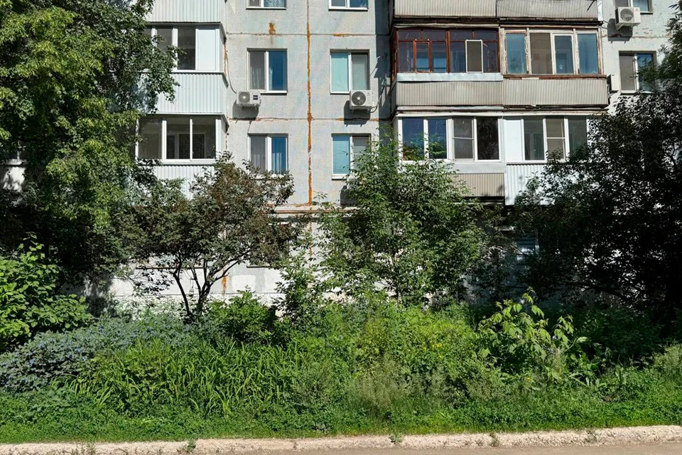 Таким был газон до преображения.