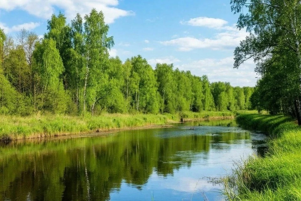 Фото: пресс-служба ГУ МЧС России по Брянской области.