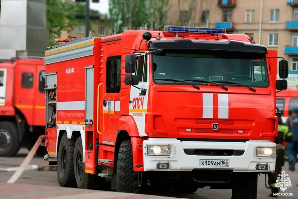 17 пожаров потушили в регионе за минувшие сутки. Фото: ГУ МЧС России по Запорожской области