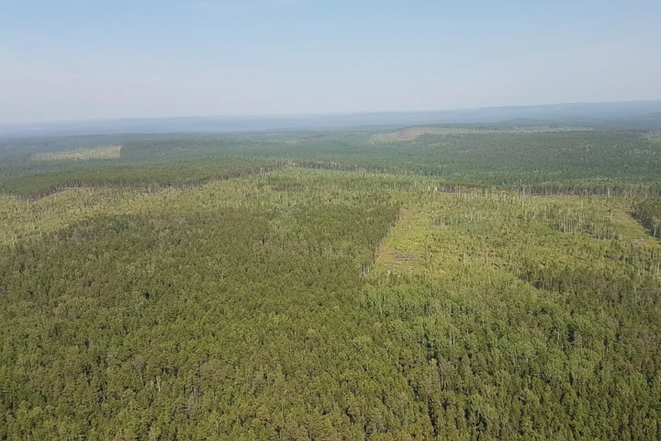Два крупных пожара потушены в Хабаровском крае