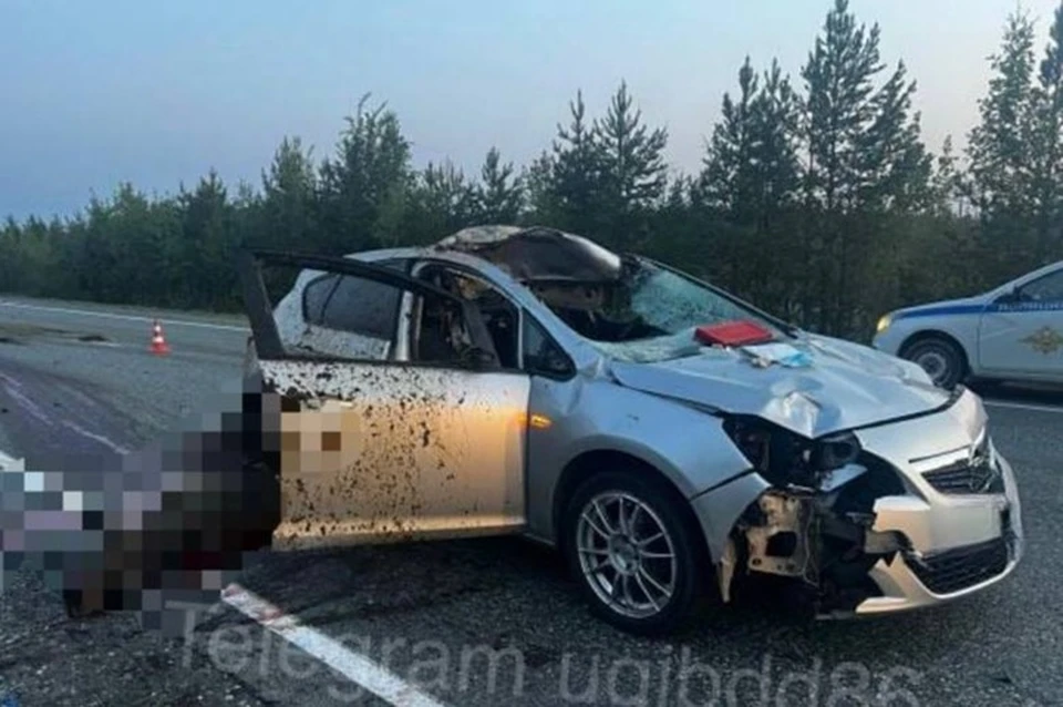 Фото: Госавтоинспекция ХМАО-Югры