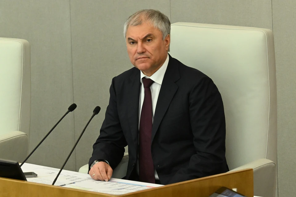 Председатель ГД Володин анонсировал новый законопроект по миграционной политике