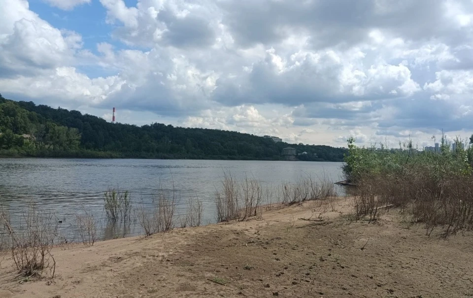 Место, где нашли останки. Фото: СУ СКР по РБ.
