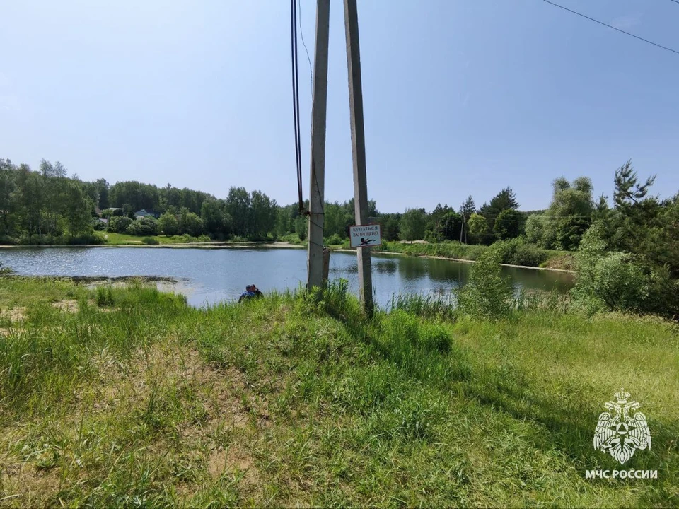 На пруду под Тулой утонул мужчина