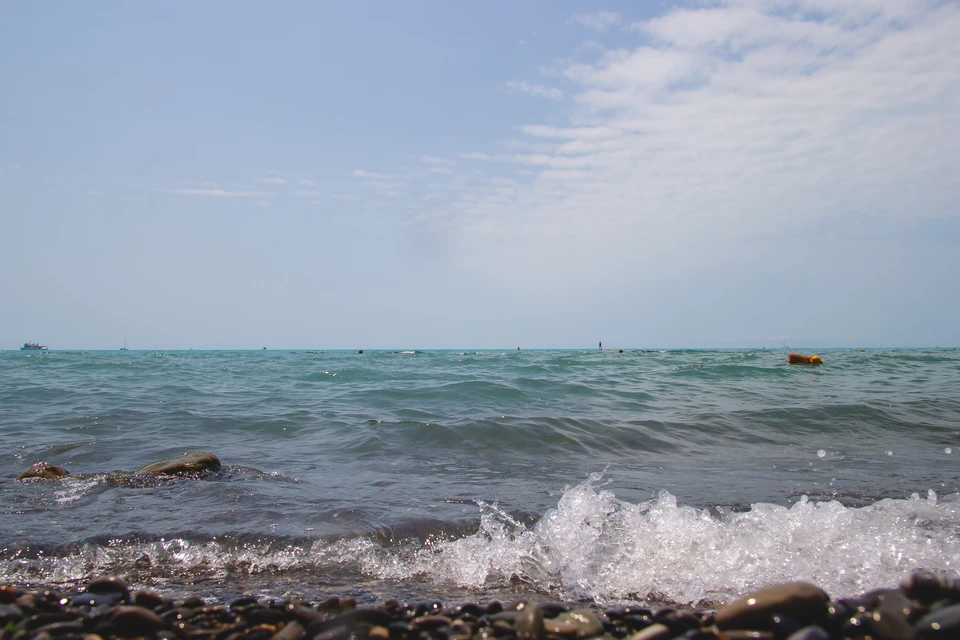 В Сочи взяли 1,5 тысячи проб морской воды в местах купания Фото: Олег УМАРОВ