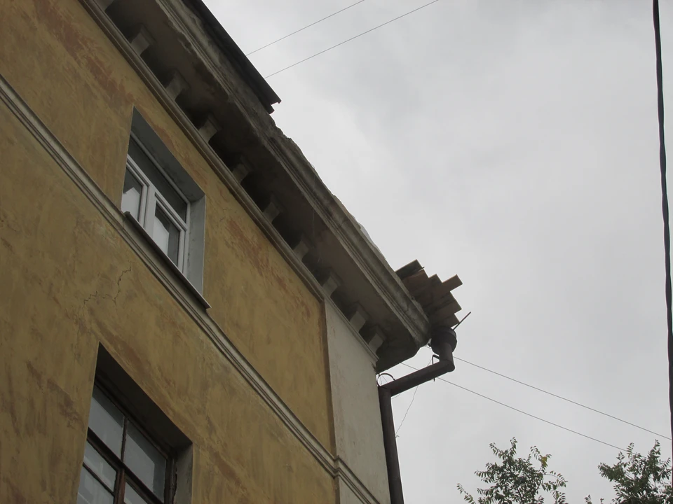 Фото Елены Федяшевой