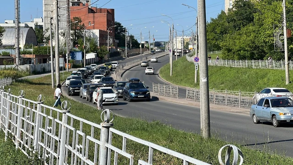 Самарцы помогли пернатым пешеходам