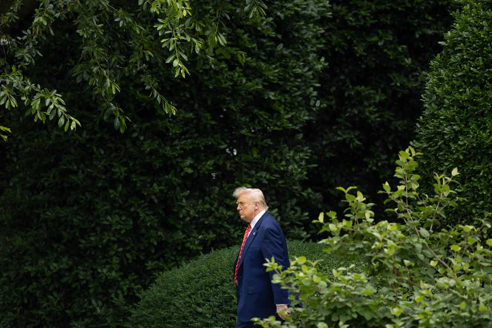 Суд в США проведет заседание по иску Ньюсома против Трампа после ввода в Лос-Анджелес военных Нацгвардии