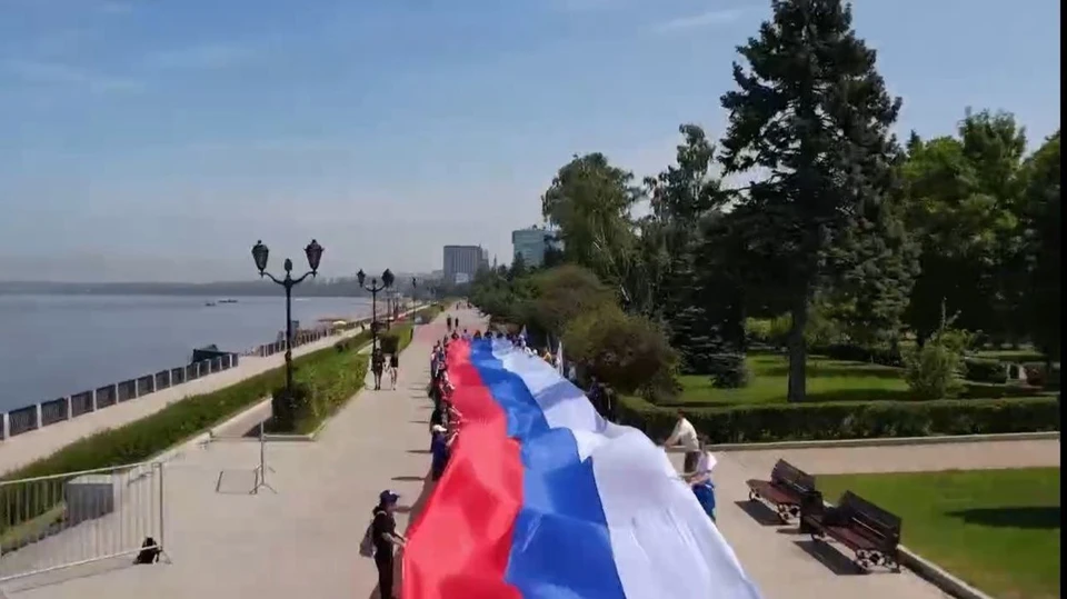 Акцию провели активисты. Фото: скриншот видео