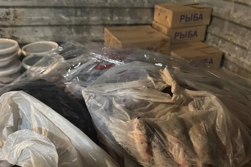 В помещении цеха, где перерабатывалась рыба, царила полная антисанитария. Фото: Управление Россельхознадзора по Пермскому краю.