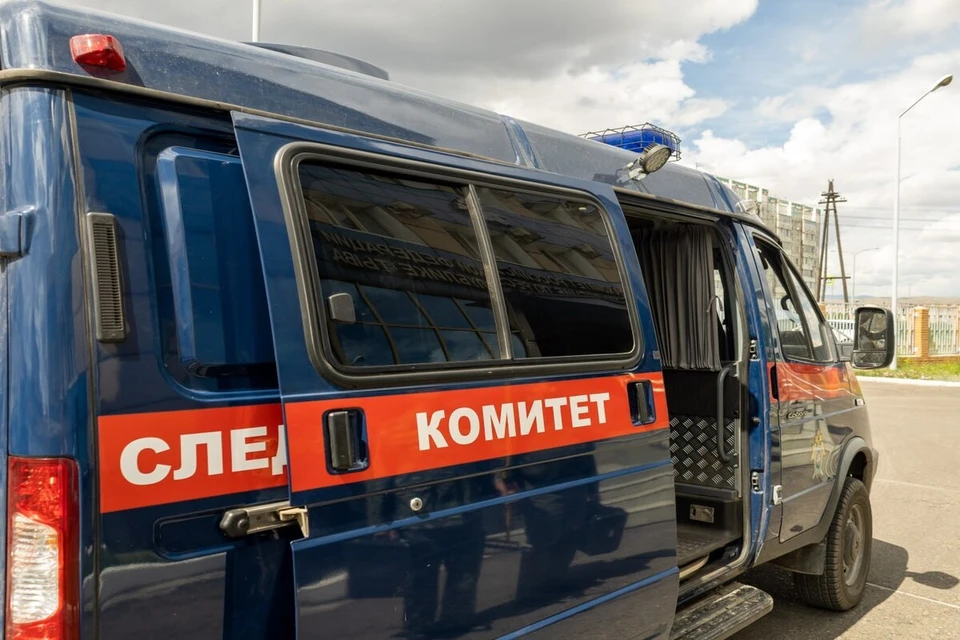 Фото: Следственный комитет по Туве