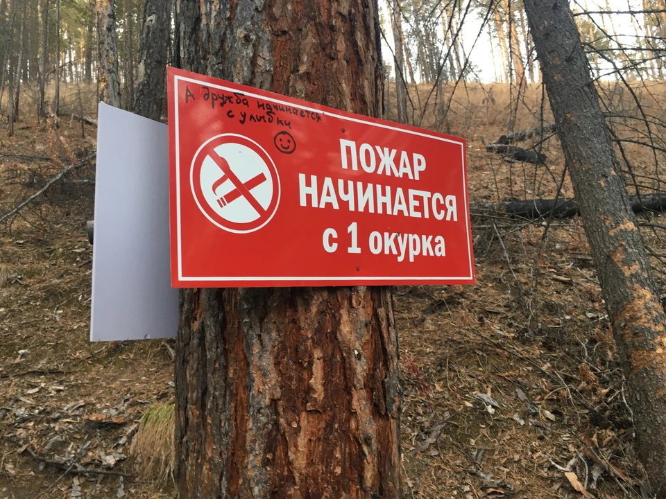 В регионе действует особый противопожарный режим