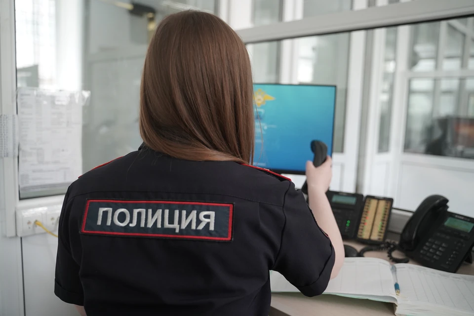 Профилактические мероприятия продолжатся в течение всего летнего сезона.