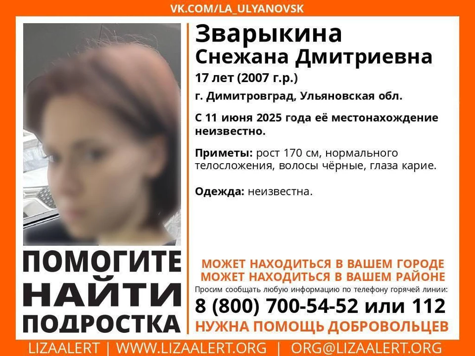 За неделю в Димитровграде пропали двое подростков. Фото "ЛизаАлерт"