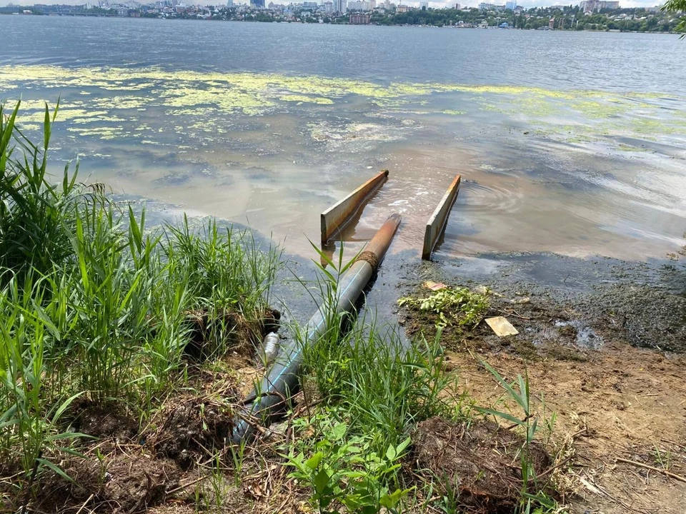 фото Центрально-Черноземного межрегионального управления Росприроднадзора