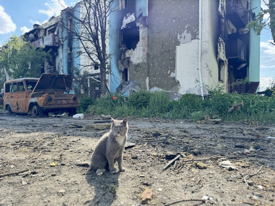 Чиновник из Курской области погиб от удара дрона ВСУ в белгородском приграничье
