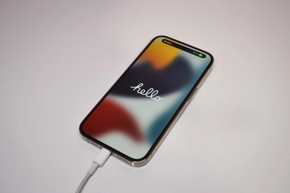 Житель Хабаровска отработает почти два года за кражу iPhone 14 Pro Max