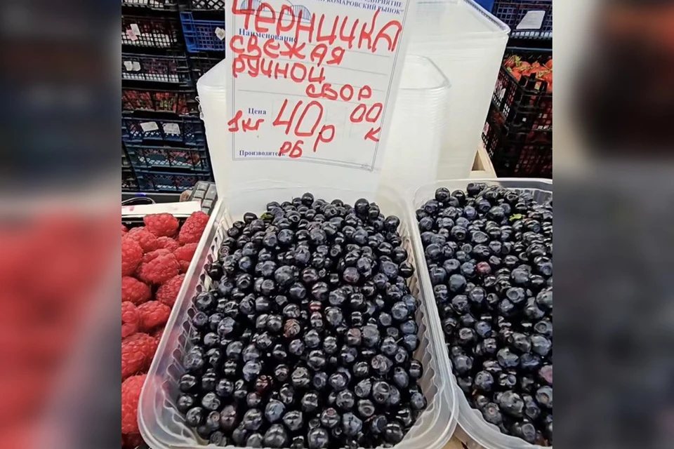 Стоимость первой белорусской черники назвали на Комаровском рынке. Фото: соцсети минского Комаровского рынка